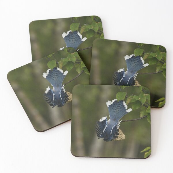 Item preview, Bluejay designed and sold by ladywithacamera.