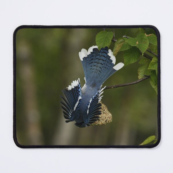Item preview, Bluejay designed and sold by ladywithacamera.