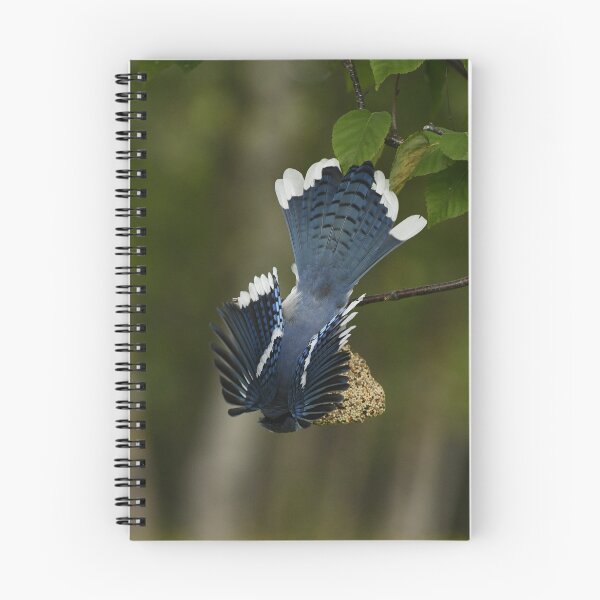 Item preview, Bluejay designed and sold by ladywithacamera.