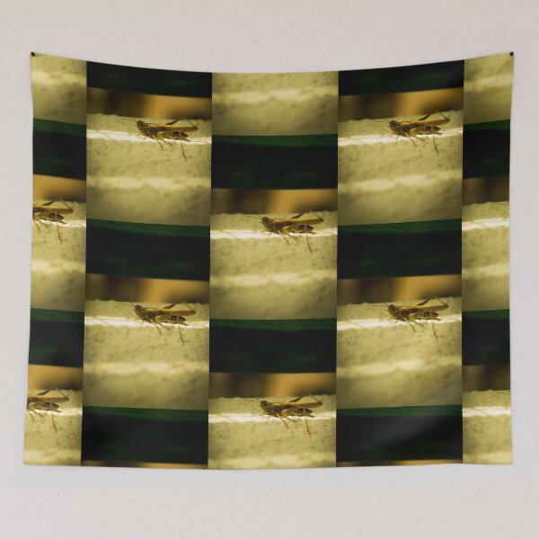 Item preview, Green Grasshopper designed and sold by GemaIbarra.