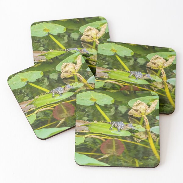 Item preview, Relaxing In The Sun | Everglades National Park designed and sold by TinyDinoDesigns.