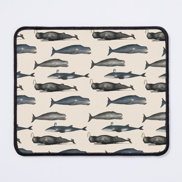Item preview, Sea Life Lithographs from 1824 designed and sold by Gumblebee Design.