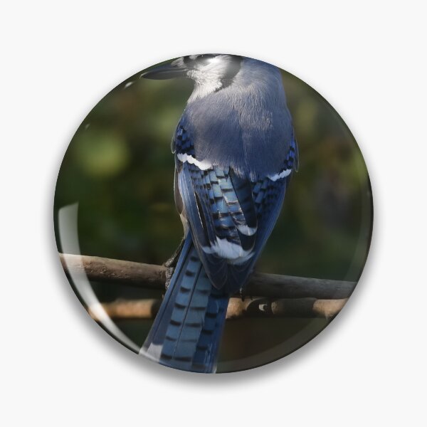 Item preview, Bluejay designed and sold by ladywithacamera.