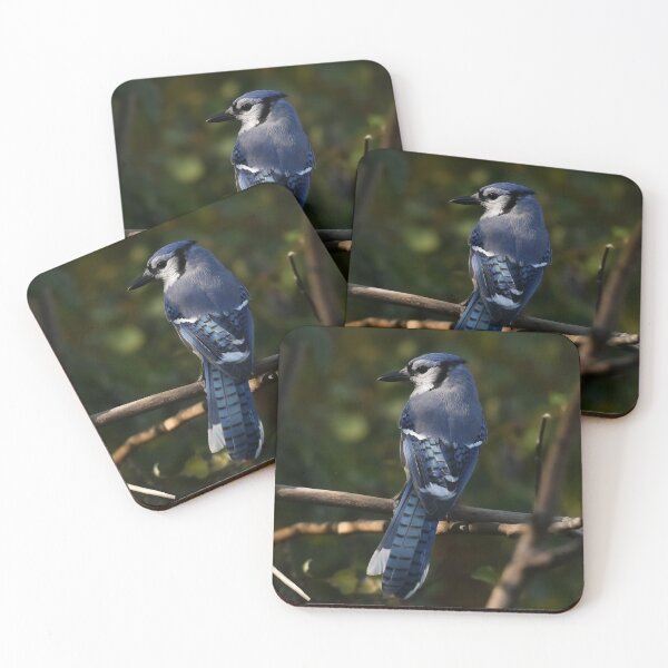 Item preview, Bluejay designed and sold by ladywithacamera.