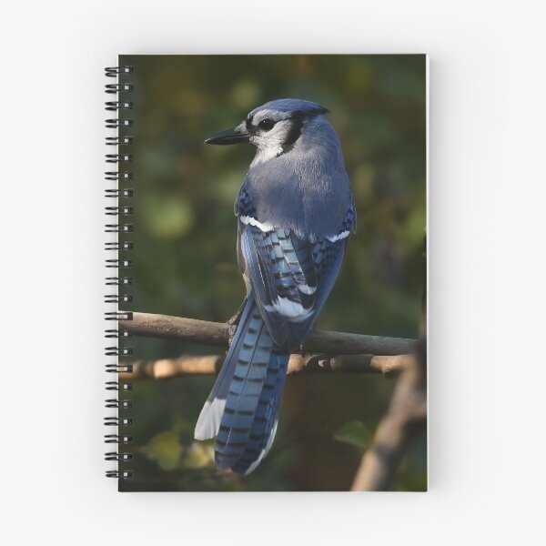 Item preview, Bluejay designed and sold by ladywithacamera.