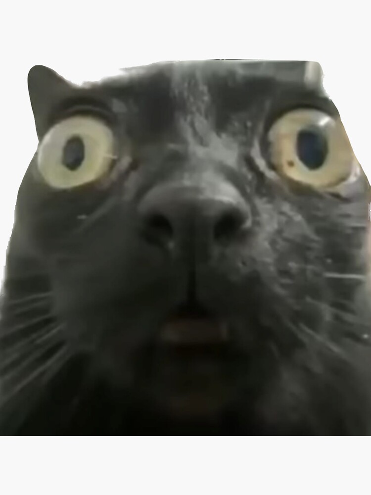 &ldquo;cat illustration&rdquo; Sticker for Sale by vimscon | Redbubble