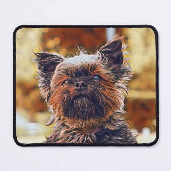 Item preview, Sunset Affenpinscher Dog Print designed and sold by TheWildFlix.