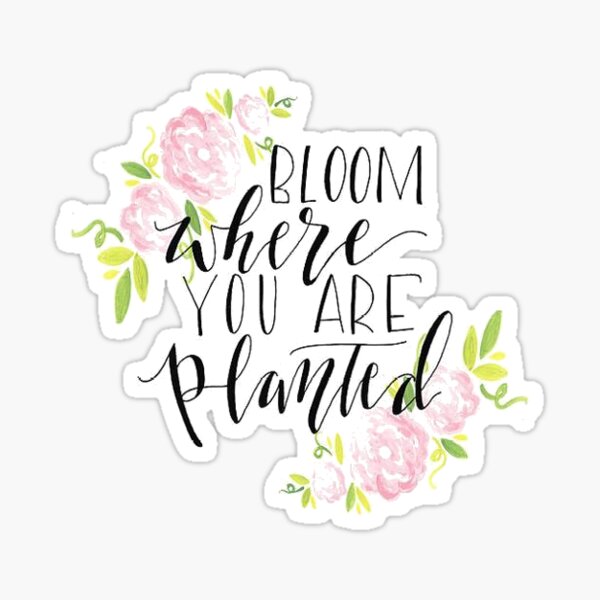Bloom Where You Are Planted Sticker