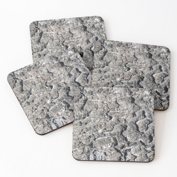 Item preview, Coral Fossil designed and sold by TinyDinoDesigns.
