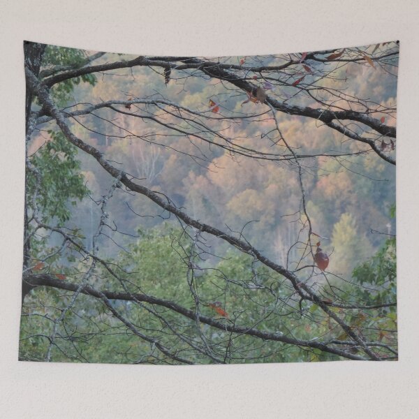 Item preview, Valley thru the trees designed and sold by Jmb67.