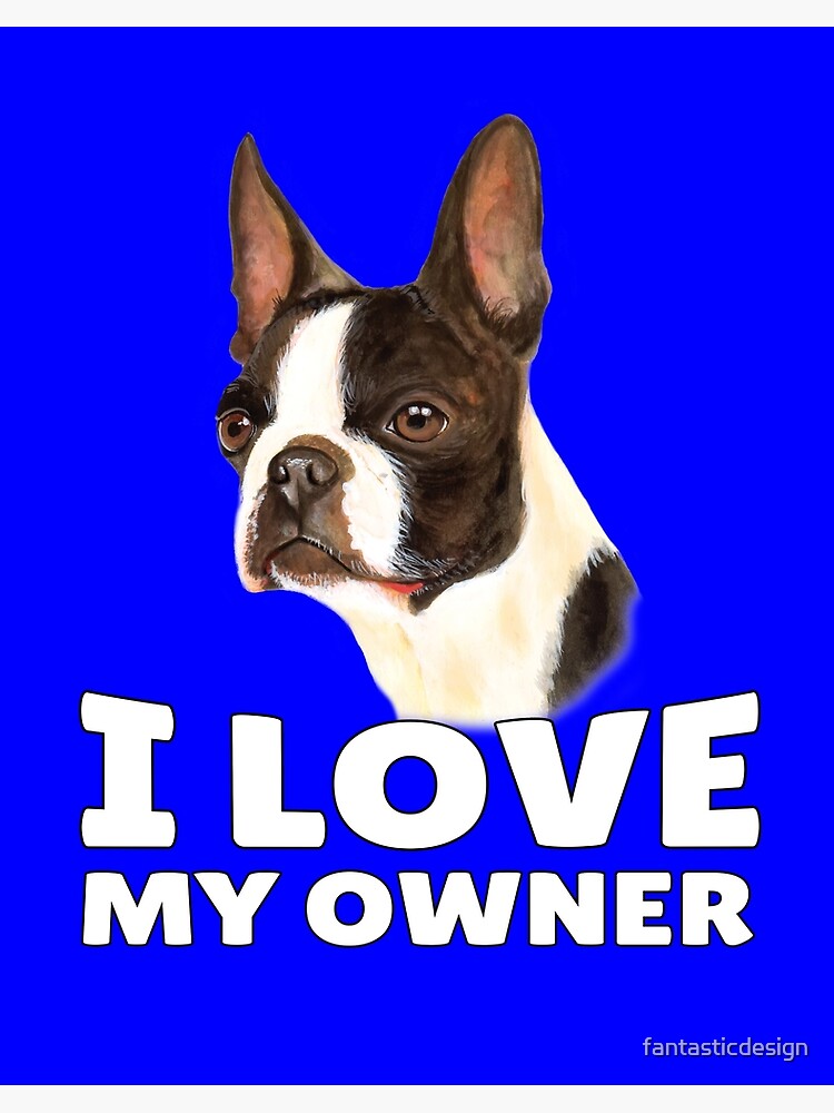 Boston 2024 terrier owners