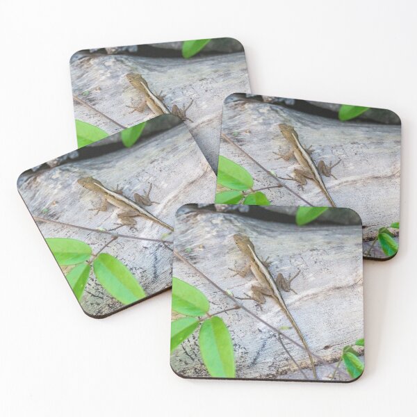 Item preview, Lagarto anolis marrón designed and sold by TinyDinoDesigns.