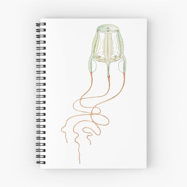 Item preview, Box jellyfish artistic representation designed and sold by punchyflamingo.