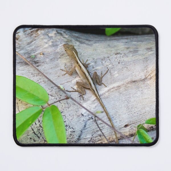 Item preview, Brown Anole Lizard designed and sold by TinyDinoDesigns.