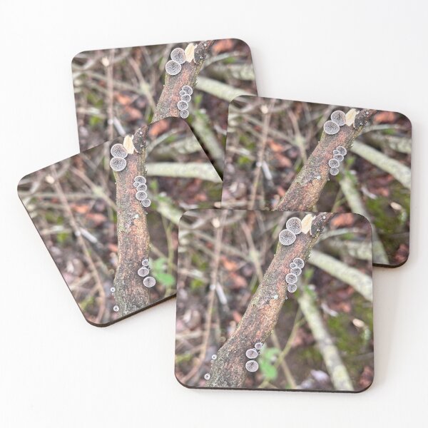 Item preview, Well isn't this fun?! designed and sold by MischievousLane.