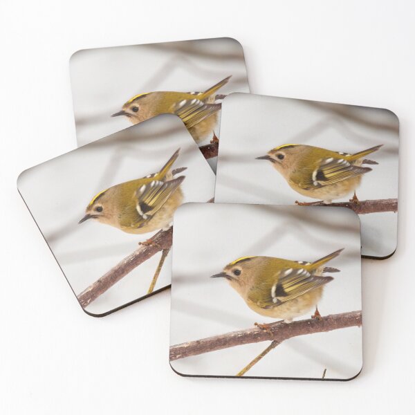 Item preview, Busy as a Goldcrest designed and sold by Jouko Lehto Photography.