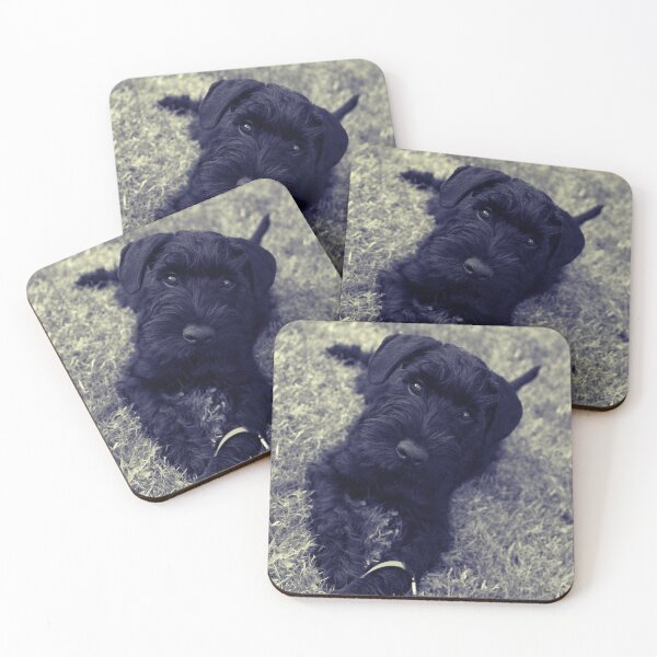 Item preview, Vintage B&W Affenpinscher Dog Park Print designed and sold by TheWildFlix.