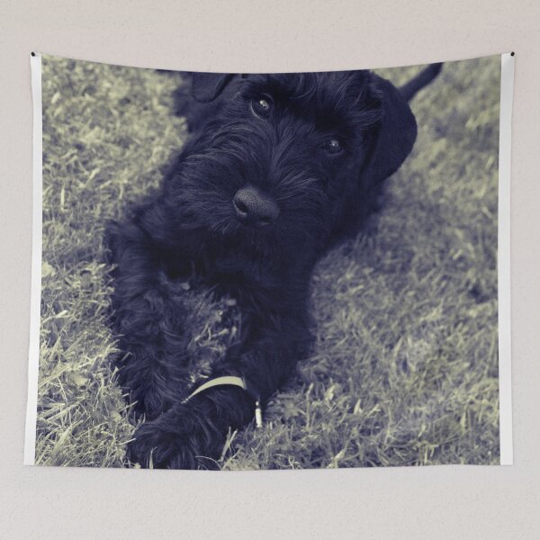 Item preview, Vintage B&W Affenpinscher Dog Park Print designed and sold by TheWildFlix.