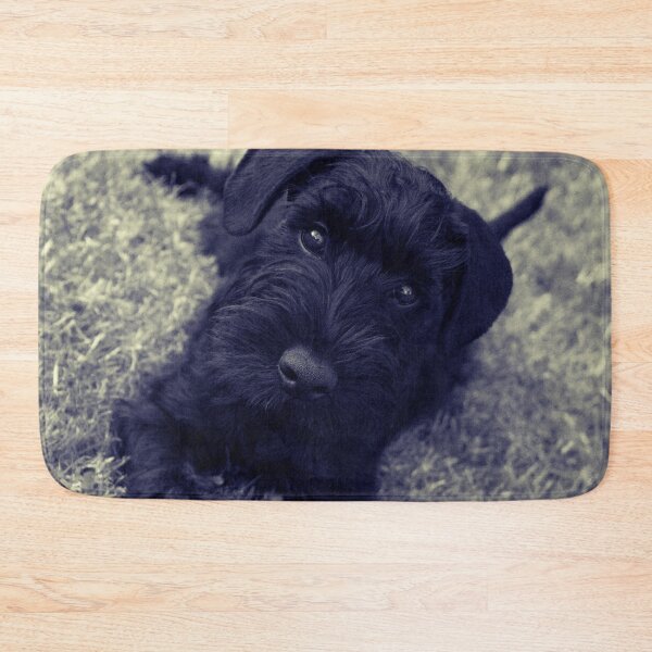 Item preview, Vintage B&W Affenpinscher Dog Park Print designed and sold by TheWildFlix.