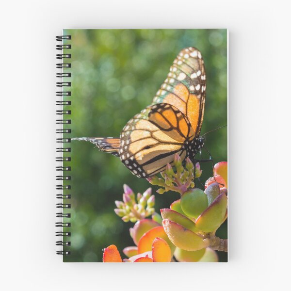 Item preview, Monarch Butterfly on a Jade Plant designed and sold by MargaretClavell.