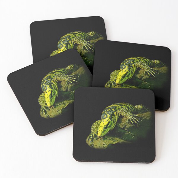 Item preview, Monitor lizard designed and sold by Guardi71.