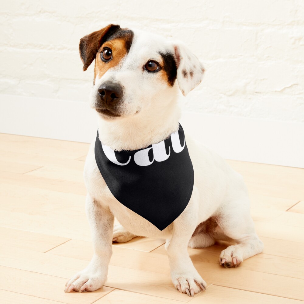 https://ih1.redbubble.net/image.4841663860.0139/ur,pet_bandana_small_primary,square,1000x1000.jpg