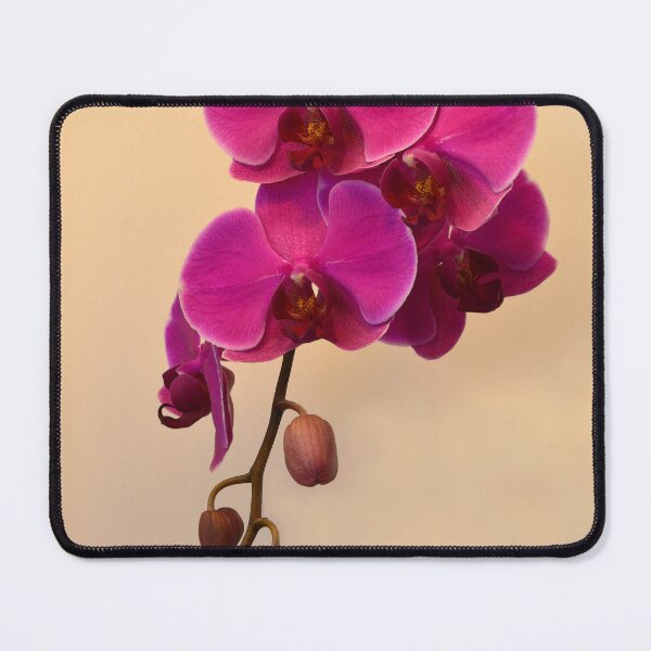 Item preview, Magenta Phalaenopsis  designed and sold by Catherine Sherman.