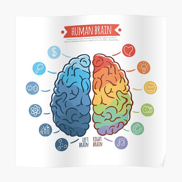 Brain Poster