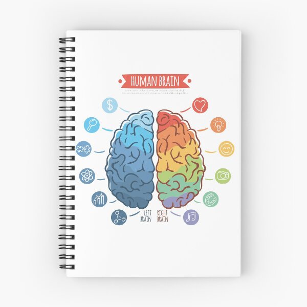 Aperçu de l'œuvre Cerveau créée et vendue par Vector11.