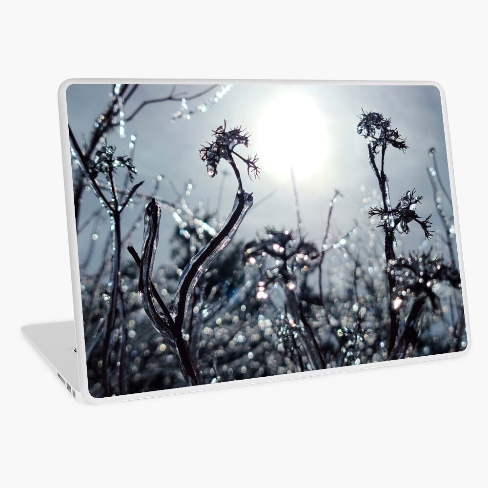 Item preview, Laptop Skin designed and sold by farmbrough.