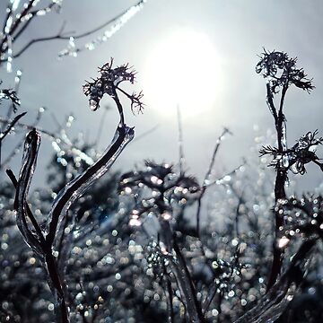 Artwork thumbnail, Ice Planet by farmbrough