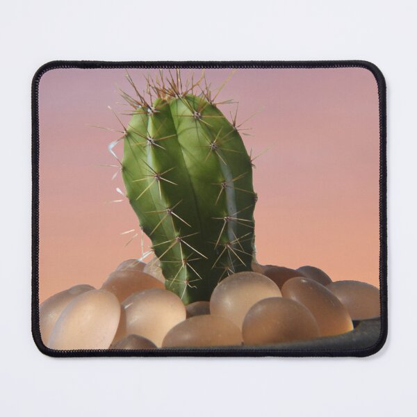 Item preview, Cactus friend designed and sold by MissPell.