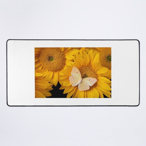 Item preview, Soft Yellow Butterfly On Sunflower designed and sold by Garry Gay.