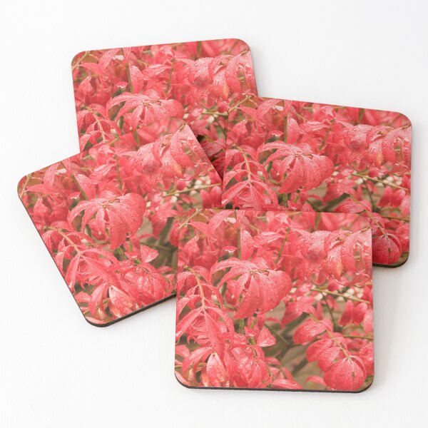 Item preview, Red Leaves in Rain designed and sold by dbvirago.