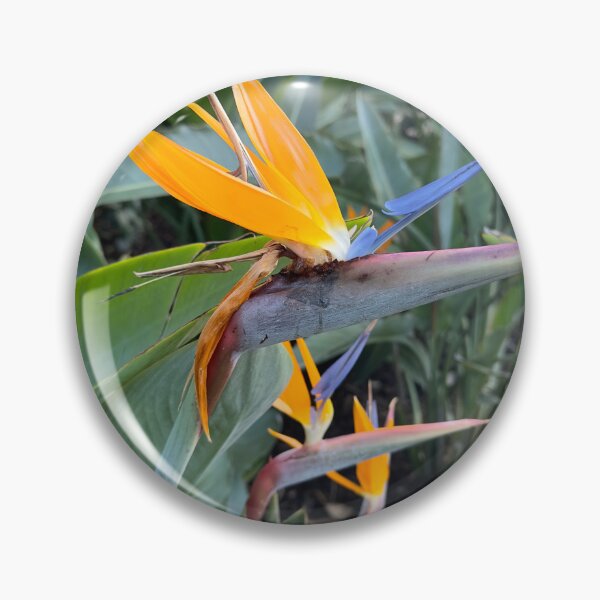 Item preview, bird of paradise flowers designed and sold by FloralSemblance.