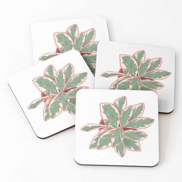 Item preview, Peperomia Ginny Plant designed and sold by chicksdoings.