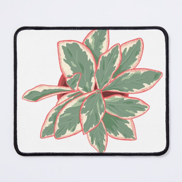 Item preview, Peperomia Ginny Plant designed and sold by chicksdoings.