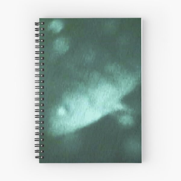 Item preview, Ghoslty Perch Underwater Shot designed and sold by CJRPics.