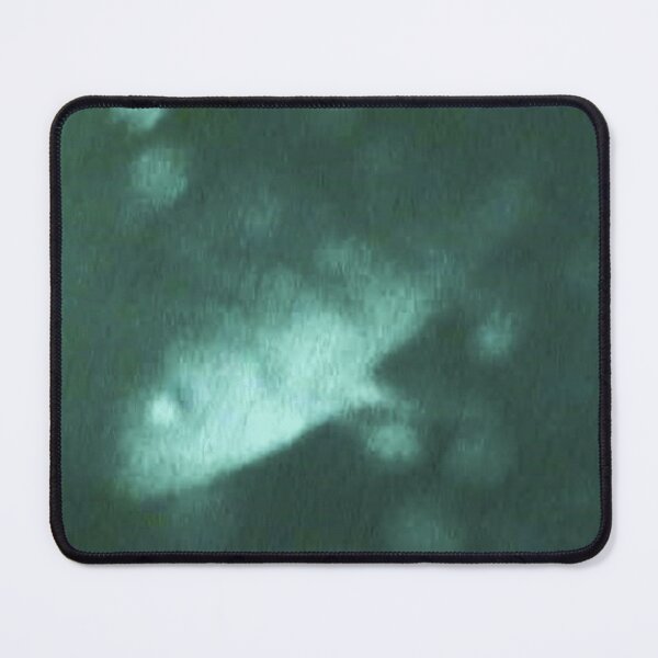 Item preview, Ghoslty Perch Underwater Shot designed and sold by CJRPics.