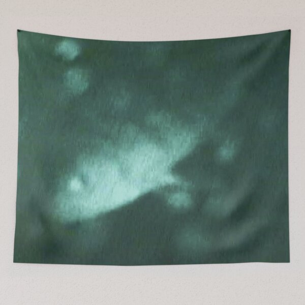 Item preview, Ghoslty Perch Underwater Shot designed and sold by CJRPics.