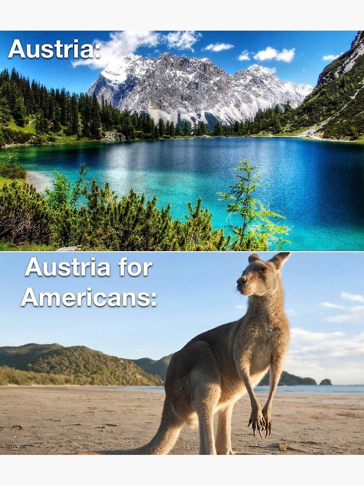 Monkey Memes… Indian Style – an aussie in austria