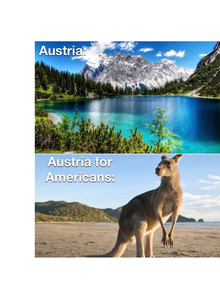 Monkey Memes… Indian Style – an aussie in austria