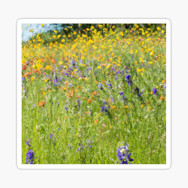 Patch of Colorful Wildflowers Sticker