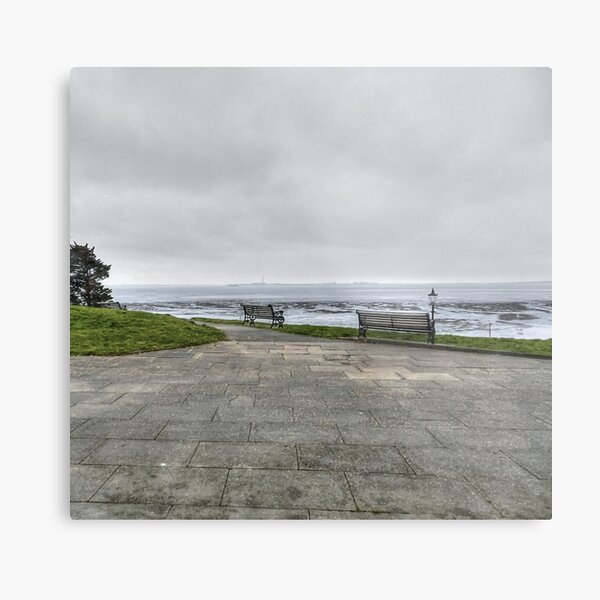 Day 59 Metal Print