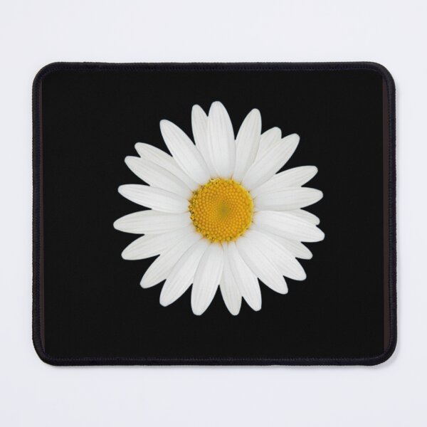 Item preview, White Daisy Flowers On Black Background designed and sold by TheCatmeow2000.