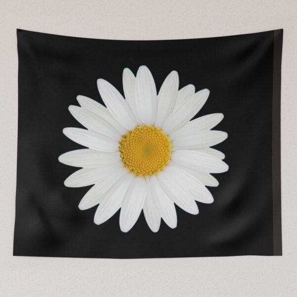 Item preview, White Daisy Flowers On Black Background designed and sold by TheCatmeow2000.