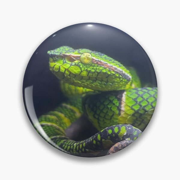 Item preview, WAGLER'S PIT VIPER 2 designed and sold by BOLLA67.