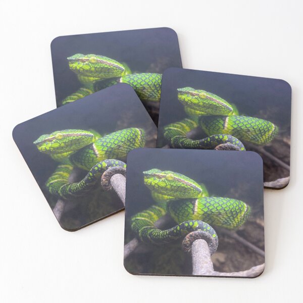 Item preview, WAGLER'S PIT VIPER 2 designed and sold by BOLLA67.