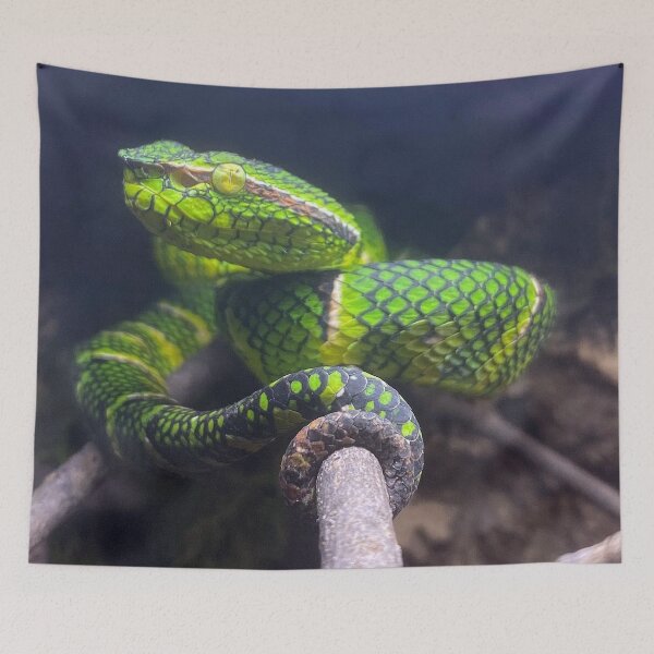 Item preview, WAGLER'S PIT VIPER 2 designed and sold by BOLLA67.