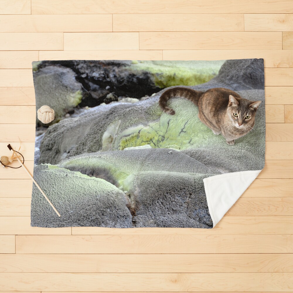 Item preview, Pet Blanket designed and sold by franck380.